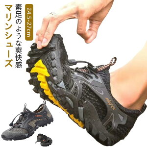 }Xj[J r@\ jO ʋC y Y KV[Y  l  y 傫TCY Xj[J[ p ANA