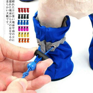 _ pbg Ȃ ی \tg ~ h L ^ ^ p JC u[c C hbOV[Y p\bNX