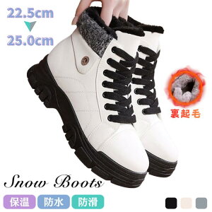 ~ {A h h h g N Xm[V[Y V[gu[c Ȃ ᓹ   ₷ ʋ ʊw kC