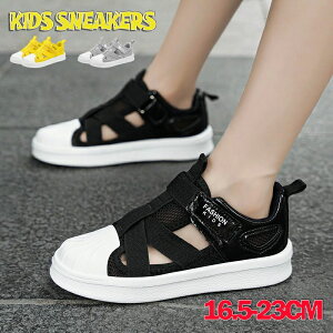 Xj[J[ ˃xg Xb| ̎q j̎q Kp y ʋC hL Lk qC ct ^C [Jbg ʊw