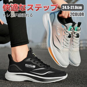 Y Xj[J[ fB[X jp n WjA EH[LO [Jbg ubN JWA  y ʊw 