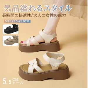  X|[c ꂢ  y l V[Y C T_ ₷ y Ȃ  킢 X|T  fB[X