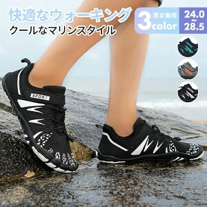  Xj[J[ xAtbg ؃g KV[Y W g[jOV[Y r[`V[Y LbY Y fB[X p