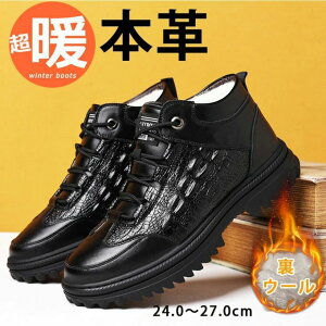 EC WjA[gu[c 傫TCY C ~C hC {Au[c   h AEghA Xm[u[c YC