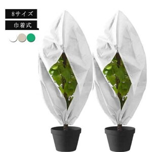 یJo[ ~ph΍ h~ AhJo[ h h Aۉlbg Q΍ h   AhJo[ A  O