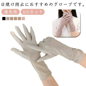 O[u ~ߎ Ă~ߎ fB[X O΍ UVJbg  hCo[O[u A[Jo[ ʋ ėp ʋC  AEghA ] H UVJbg TCNO ʊw