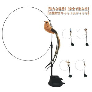  t VRH Lbg  L  ˂炵 ybgpi Ĥ  Lpi L炵 