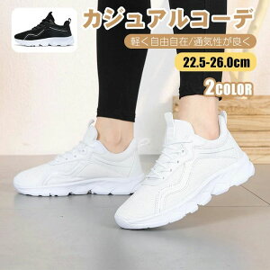 킢  EH[LO jO y _CGbgV[Y W RȂ Xb| Ȃ C  i[XV[Y