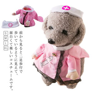    hbOEFA L lR  RXv nEB Ōt hN^[ ybg 搶 i[X ^ RX`[ 