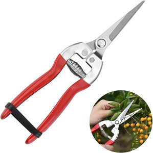 ~ ΂ | ϋv y ~ ₷ Kɋ ȗ͉ EʃnT~ E  XeX XeX E