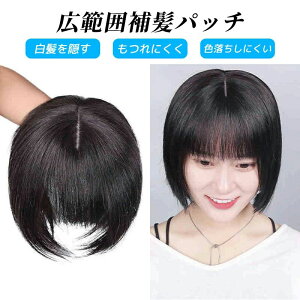 fB[X p x[X8*13cm/13*14cm20cm/25cm/30cm/ O |CgEBbO l100% EBbO㕔