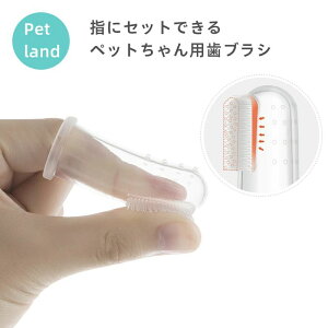    a  s  L oPA LVg[ K f^PA     L  ybg