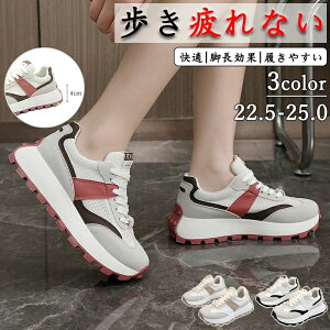 EH[LOV V[Y fB[XV[Y C Ȃ ₷ r  gAbv [ lC fB[X