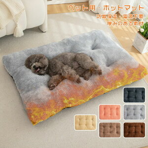  킢 􂦂  ۉ g ̃xbh }bg ybgNbV Lp ybgpQ ybg\t@ Lpxbh ~