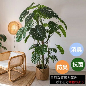  ͗lւ tFCN lH CeA ^210cm ϗtA  썑 ^q`  ϗtA 240cm O[ Xec[