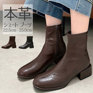 h _炩 ~ H  V[Y `FV[u[c r [q[ EGX^u[c fB[X {A V[gu[c {v