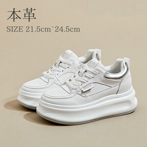  ɂ [Jbg fB[X Xj[J[ ₷C Xj[J[ Vv C JWA V[Y fB[X