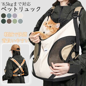  ybgpi LL[ hbOXO Ђ LobObN R L  bN 傫 L[obO O