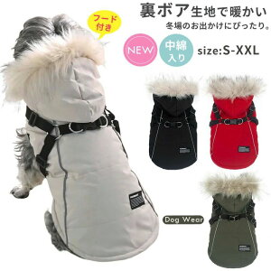  R[g n[lX̌^Wp[ WPbg EFA ̕  h t[ht n[lX hbOEFA WPbg