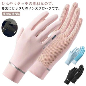 X St t  O[u ⊴O[u uvPA O[u ėp X}zΉ fB[X ⊴ uvJbg  O[u St