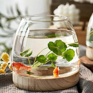 ؐx[XtϏ nKX~jTCYƒpfXNgbv _J KXe  