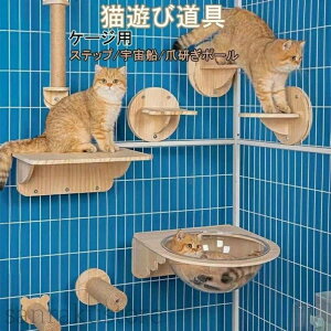 N LbgXebv P[WnMOLbg Lp FD ܂݂ XNb`[  Xebv ܂Ƃ P[Wp