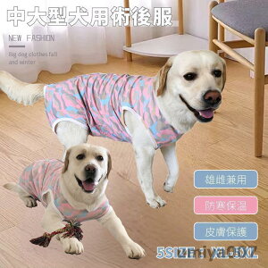  p   D GUxXJ[ɑ rߖh~ ̏ی O㑫 p㒅 Ckp㕞 /^ppEFA