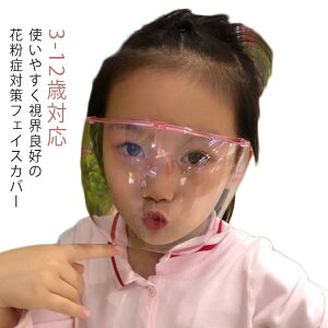 h  hЃObY Hꌩw EǍD tFCXV[h j̎q ̎q S[O ی상Kl ԕǑ΍ NAtFCXJo[