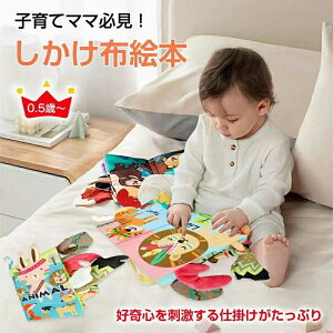  z ߋ m  xr[J[ ObY ł o  V  Ԃ G{ d| Ԃ zG{