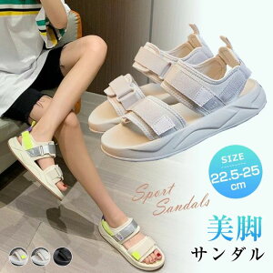 R 傫TCY Xj[J[T_ ₷  r ~ T_ X|[cT_ 3cm  fB[X