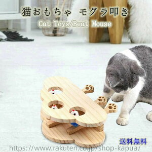 ؐ O@ lR ˂̂ }EX lY~ mߋ ŗVԍDS 炽 ^s