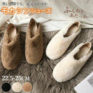  V[Y {A RRV[Y  RR _炩 ~C HC HV N fB[X V[Y tbg JV