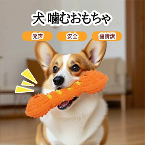 ybg  L\h ̃N[jO  S S ^ ^ ^ N PA  XgX   