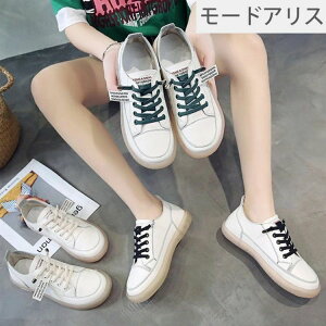 ₷ V[Y y y fB[XXj[J[ zCg  C Ȃ fB[X