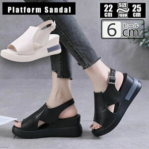 ʋC y L r T_ Xj[J[ EFbW\[ EFbWT_ I[vgD  X|[cT_ fB[X