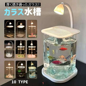 X^[^[^NœK ZbgAbvEeiXȒP ȒP LEDCgt