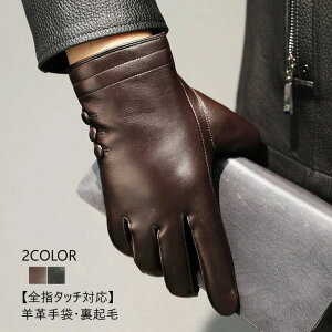  {v r Ԃ O[u X}z Y U[ X}z Y  U[O[u jp V[vXL v