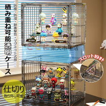 楽天市場】陳列棚 ショーケース（コレクションケース｜コレクション 