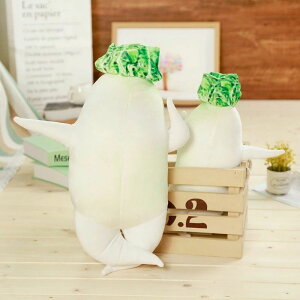 NX} a CeA ObY ʂ 卪 A ₵  NbV ZNV[卪 