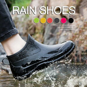 h J J΍ ʊw ʋ 䕗 ~J΍ ~ Jp h JC V[g fB[X Y Cu[c y Y