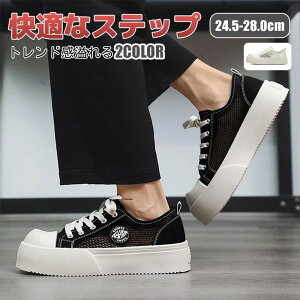 Y Xj[J[ fB[X jp n WjA EH[LO [Jbg ubN JWA  y ʊw 