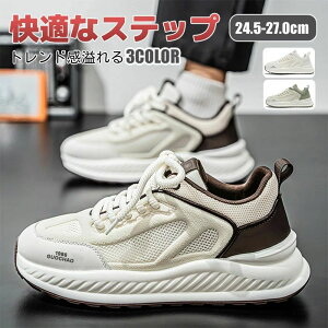 Y Xj[J[ fB[X jp n WjA EH[LO [Jbg ubN JWA  y ʊw 