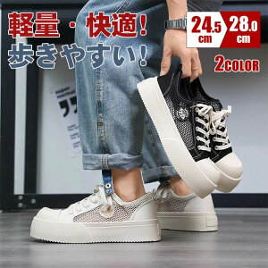 Y Xj[J[ fB[X jp n WjA EH[LO [Jbg ubN JWA  y ʊw 