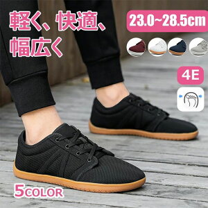 Xj[J[ fB[X bV WjA Y X|[c [Jbg ubN JWA  y ʊw Xb| 