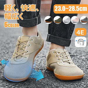 Xj[J[ fB[X bV L O WjA Y X|[c [Jbg ubN JWA  y 