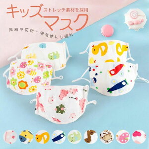 �ʉ��ʊw��f�C���[���[�X�� �}�X�N �L�b�Y�}�X�N �}�X�N �q���p 10���g �}�X�N �ԕ��΍� ���� �����}�X�N �q�� �H�~ �}�X�N