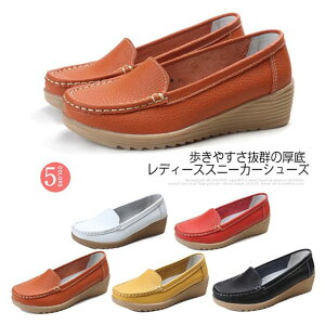 [t@[ ԗp hCrOV[Y fB[X ɂȂ L l C Xb| {v