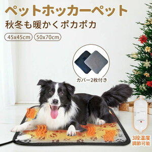 dCq[^ ybgpzbgJ[ybg ݂h~ ybgxbh zbgJ[ybg ybgq[^[ 2Jo[ zbgJ[ybg