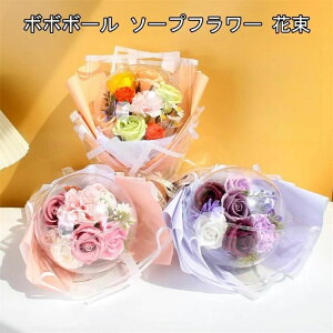 {[ t[Mtg ͂Ȃ ԑMtg \[vt[ {{{[ Ǝj t[AWg ~ju[P