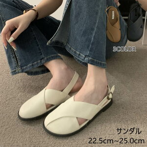  22.5-25cm V[Y C Ȃ  ₷ rT_ y t  ₷ T{T_ PU fB[X